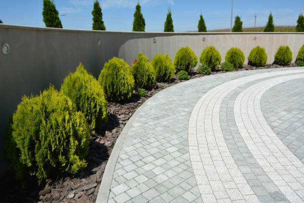 Reasons to Select Us for Your Driveway Paving Requirements in Moscow Mills, MO